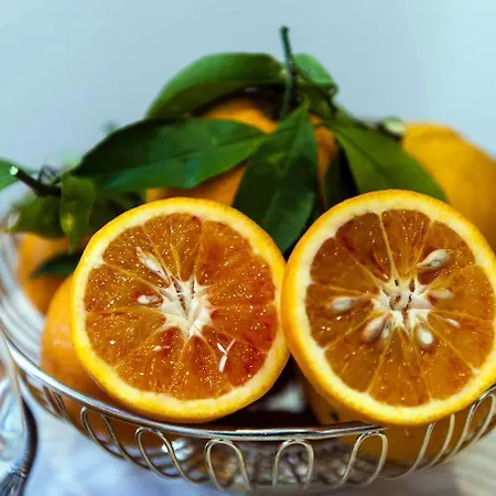 Bed and Breakfast Back To Sorrento