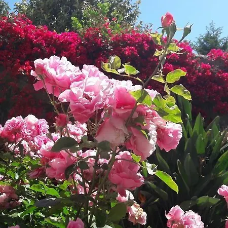 Bed and Breakfast Back To Sorrento Sant'Agnello